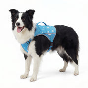 Blue Breeze Cooling Dog Vest