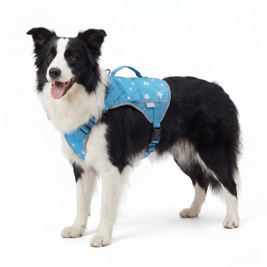 Blue Breeze Cooling Dog Vest
