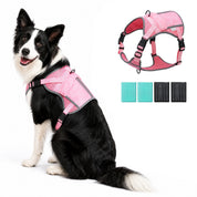 Dog Cooling Vest Harness with 4 Ice Packs – Lightweight Summer Cooling Jacket for Medium & Large Dogs