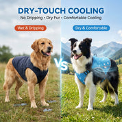Blue Breeze Cooling Dog Vest