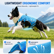 Blue Breeze Cooling Dog Vest