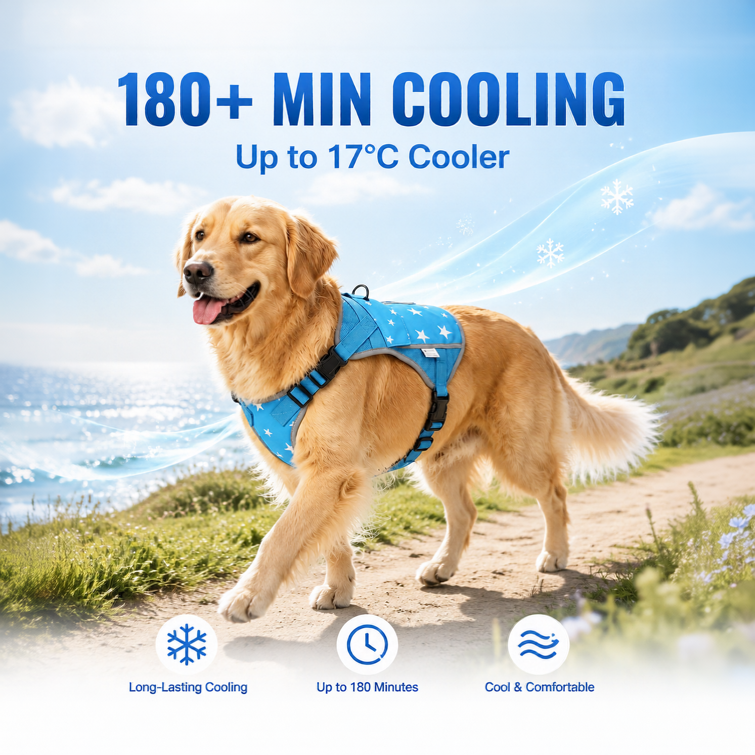 Blue Breeze Cooling Dog Vest