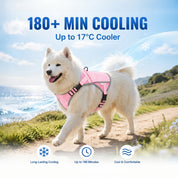Pink Meadow Cooling Dog Vest