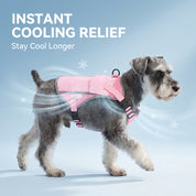 Pink Meadow Cooling Dog Vest