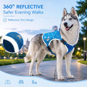 Blue Breeze Cooling Dog Vest