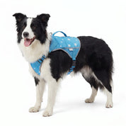 Blue Breeze Cooling Dog Vest detail view