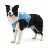 Blue Breeze Cooling Dog Vest