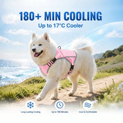Pink Meadow Cooling Dog Vest detail view